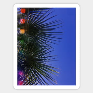 Retro Palm Trees. California Sticker